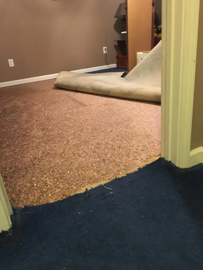 Carpet pad removal revealing water damage during Water Mitigation Services in Jerseyville