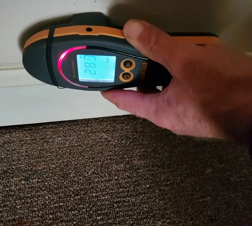 Moisture detection at baseboard during Sewage Cleanup & Sanitation in Jerseyville